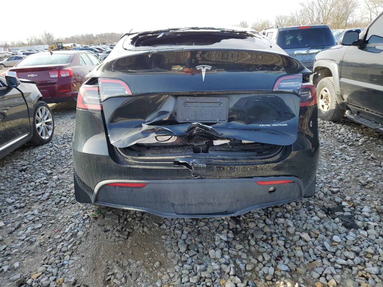 2024 TESLA MODEL Y  VIN:7SAYGDEE9RF183281