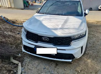 2021 Kia Sorento KNARL81BGMA056006 VIN:KNARL81BGMA056006