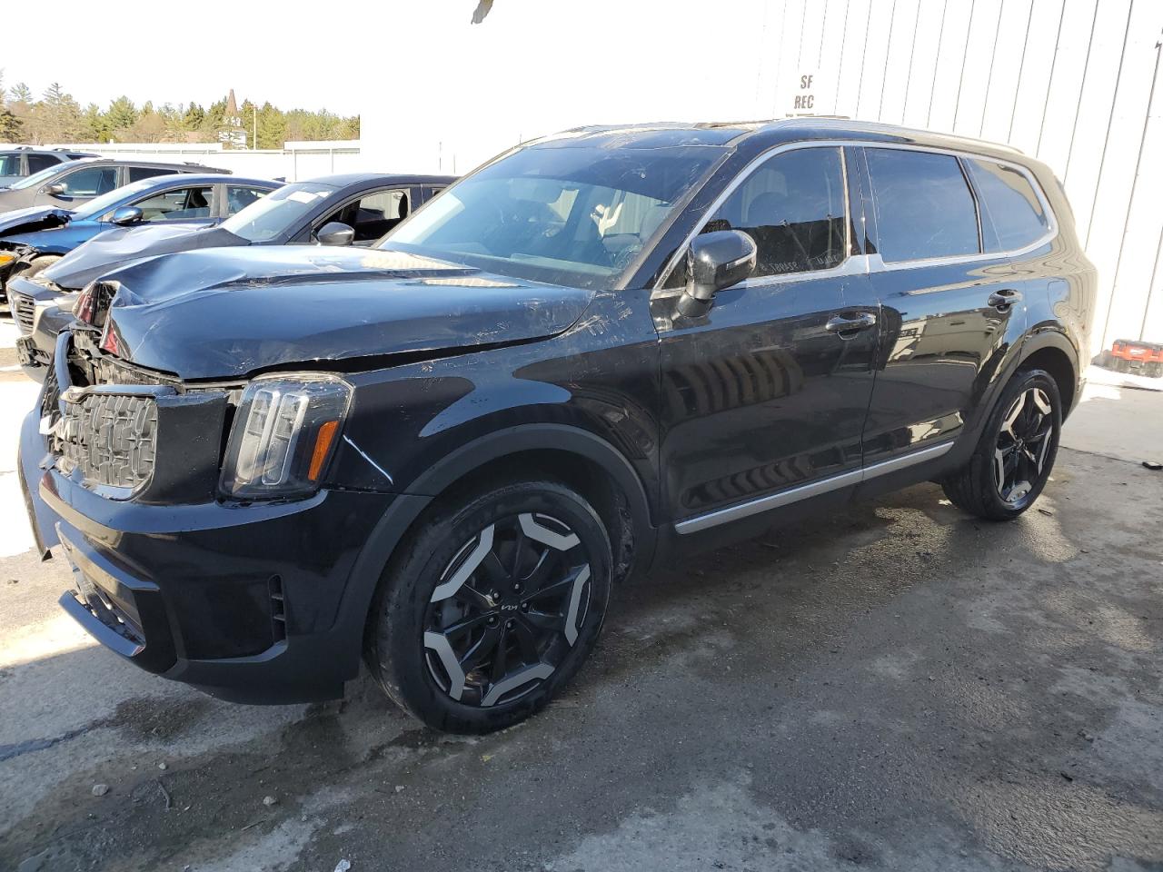 2023 KIA TELLURIDE EX VIN:5XYP3DGC1PG343224