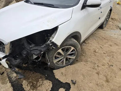 2019 Kia Sorento KNAPG81BDKA540068 VIN:KNAPG81BDKA540068