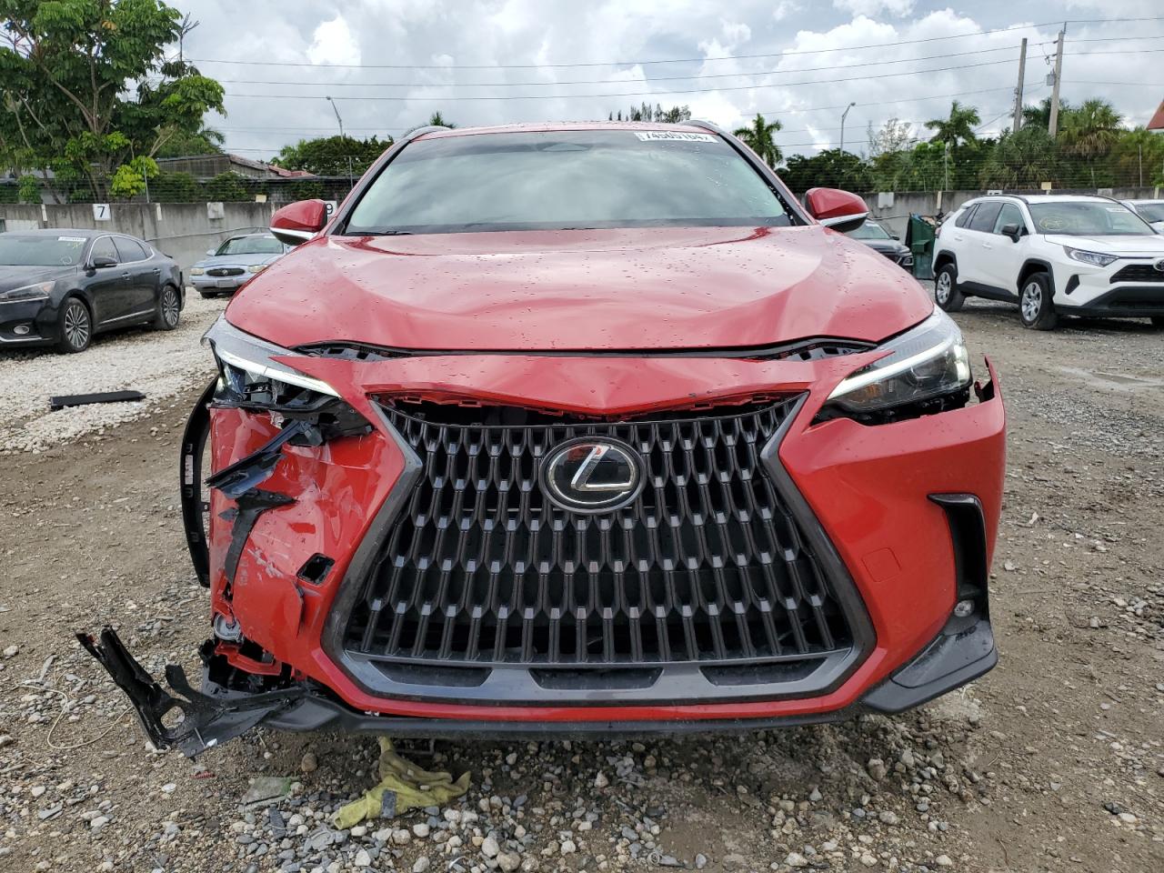 2024 LEXUS NX 250 BASE VIN:2T2ADCAZ1RC015158