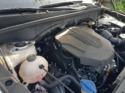 2021 Kia Sorento KNARK81BHNA133310 VIN:KNARK81BHNA133310