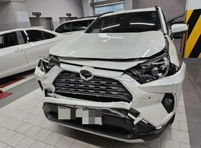2019 Toyota RAV4 VIN: