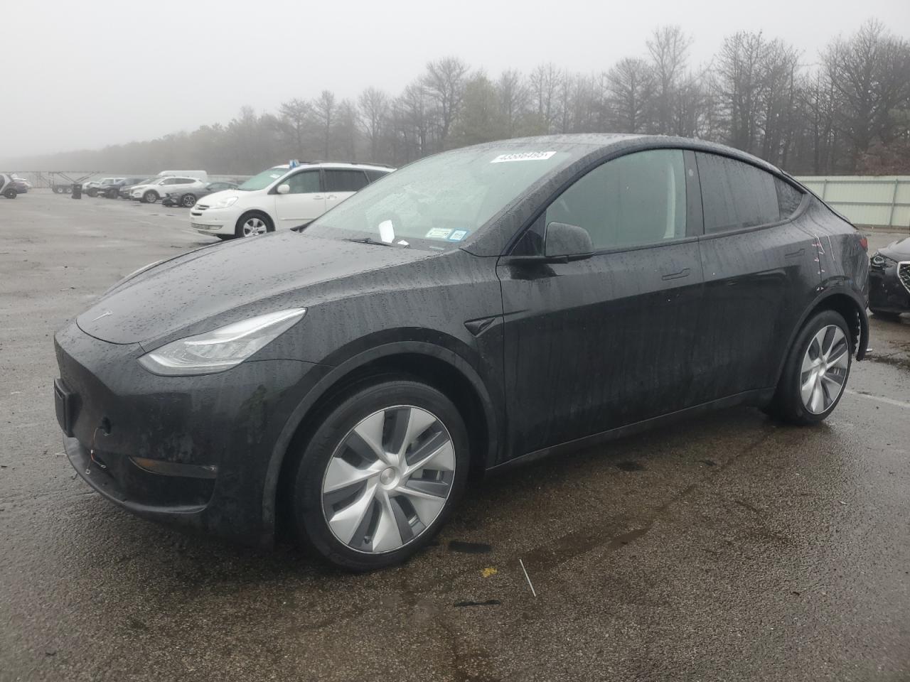 2023 TESLA MODEL Y  VIN:7SAYGDEE1PA135445