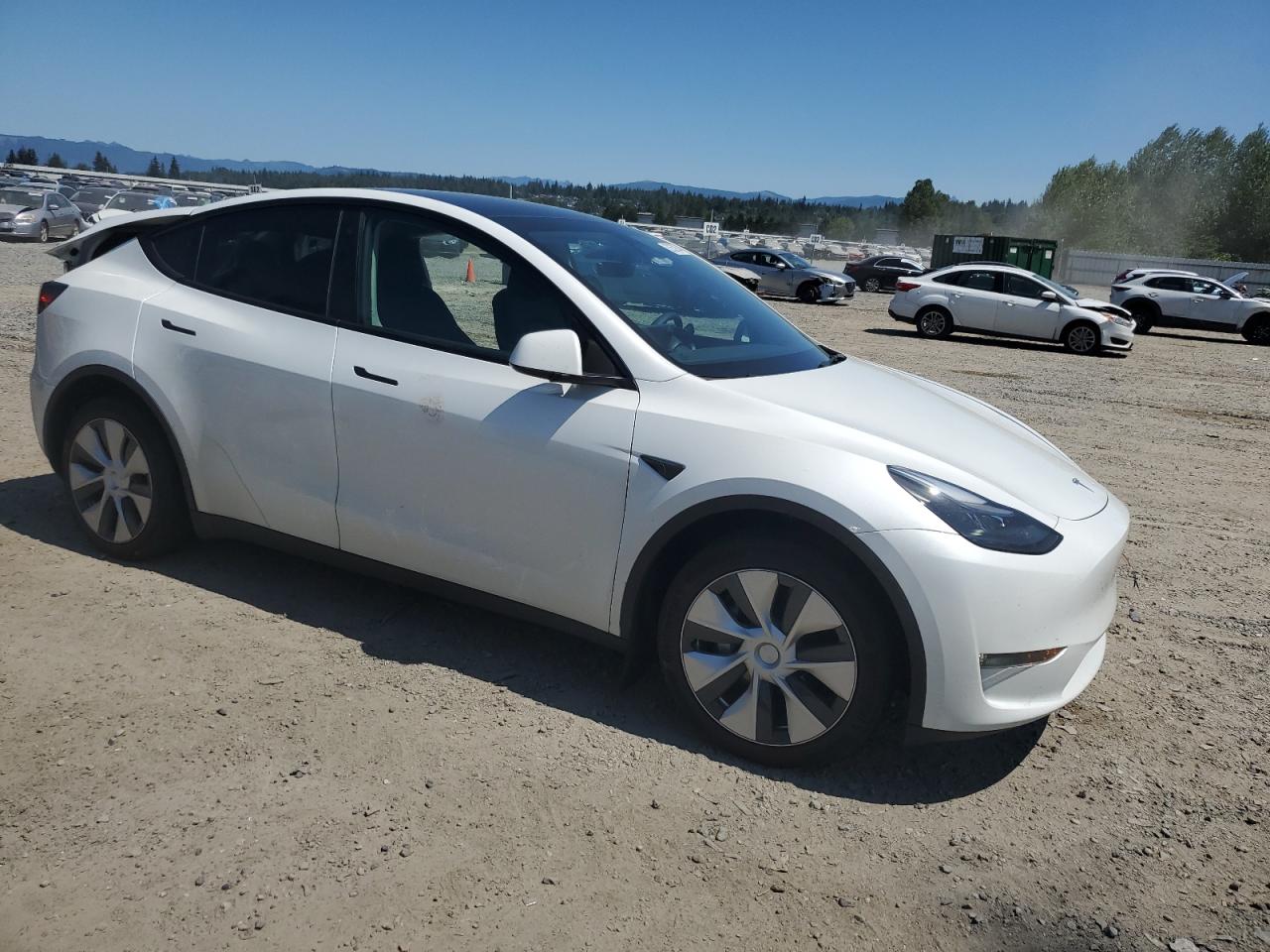 2023 TESLA MODEL Y  VIN:7SAYGDEE8PF764543