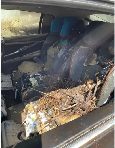 2016 bmw gran turismo efficient dynamics WBA5N2101GG266949 VIN:WBA5N2101GG266949