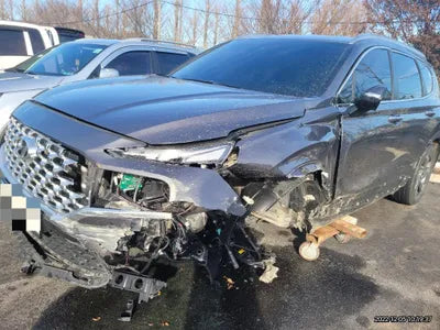 2021 Hyundai Santa FE KMHS381HGMU349664 VIN:KMHS381HGMU349664