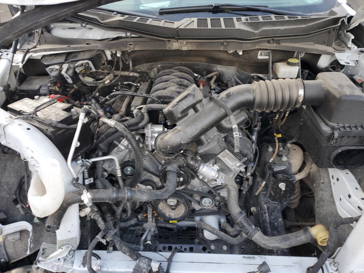 2024 FORD F150 XL VIN:1FTFW1L5XRKE05208