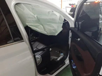 2019 Hyundai Santa FE KMHS581ABLU247207 VIN:KMHS581ABLU247207