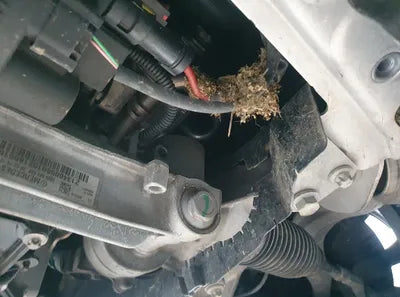 2018 Mercedes-Benz E 220 000KMWDDZF0FB8JA4 VIN:000KMWDDZF0FB8JA4