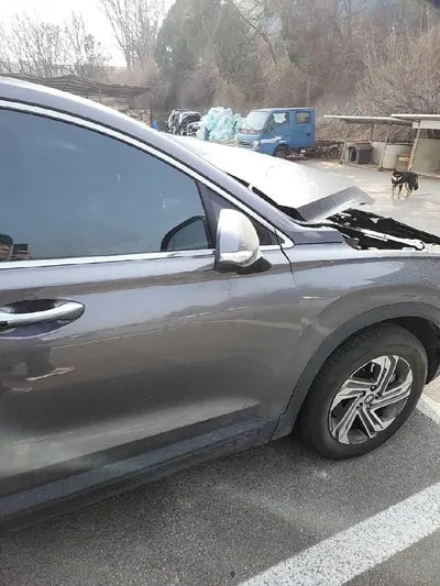 2021 Hyundai Santa FE KMHS281LGMU408378 VIN:KMHS281LGMU408378