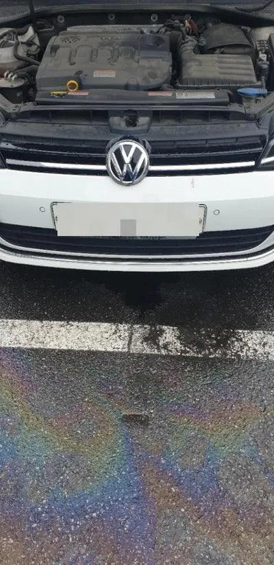 2015 Volkswagen Golf WVWZZZAUZFW351240 VIN:WVWZZZAUZFW351240