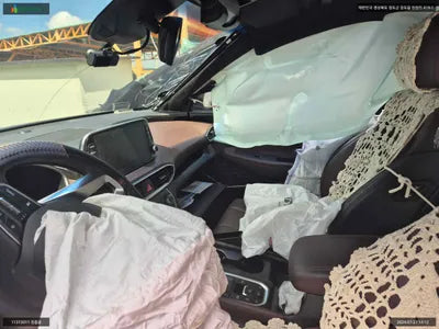 2019 Hyundai Santa FE KMHS581BDKU176768 VIN:KMHS581BDKU176768