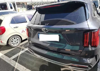 2021 Kia Sorento KNARH81BGMA012954 VIN:KNARH81BGMA012954