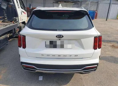 2020 Kia Sorento KNARK81BGMA038540 VIN:KNARK81BGMA038540