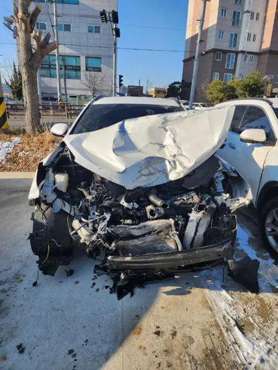 2018 Hyundai Santa FE KMHSW81UBJU809192 VIN:KMHSW81UBJU809192
