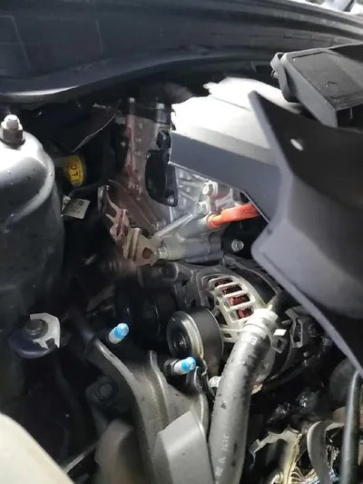 2020 Kia K5 KNAGT411BLA354206 VIN:KNAGT411BLA354206