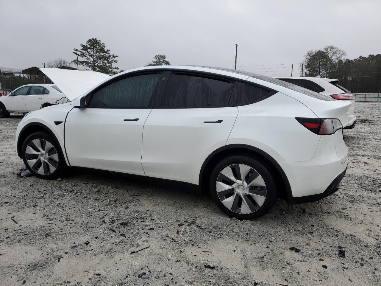 2023 TESLA MODEL Y  VIN:4JGDA5HB7CA033556