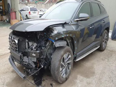 2021 Hyundai Tucson KMHJE811BNU033003 VIN:KMHJE811BNU033003