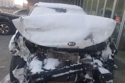 2021 Kia Carnival KNANB81BBMS037266 VIN:KNANB81BBMS037266