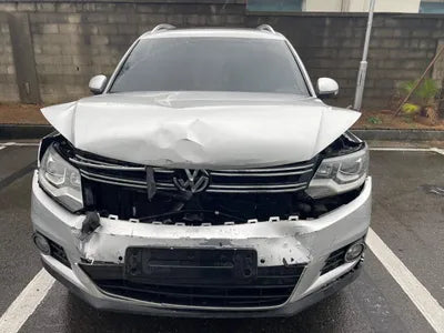 2016 Volkswagen Tiguan WVGZZZ5NZGW039529 VIN:WVGZZZ5NZGW039529