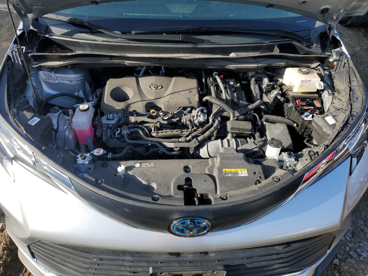 2023 TOYOTA SIENNA XLE VIN:5TDYRKEC1PS156966