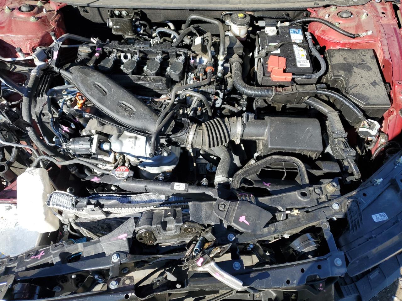 2023 HONDA ACCORD LX VIN:1HGCY1F28PA020846