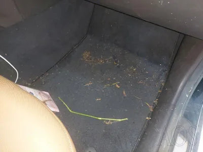 2019 Genesis G80 VIN: