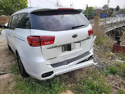 2019 Kia Carnival KNAMB81ABKS545085 VIN:KNAMB81ABKS545085