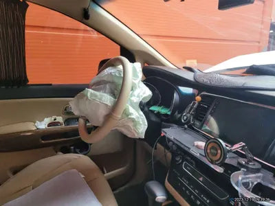 2017 Kia Carnival 880KMKNAME81ABHS2 VIN:880KMKNAME81ABHS2