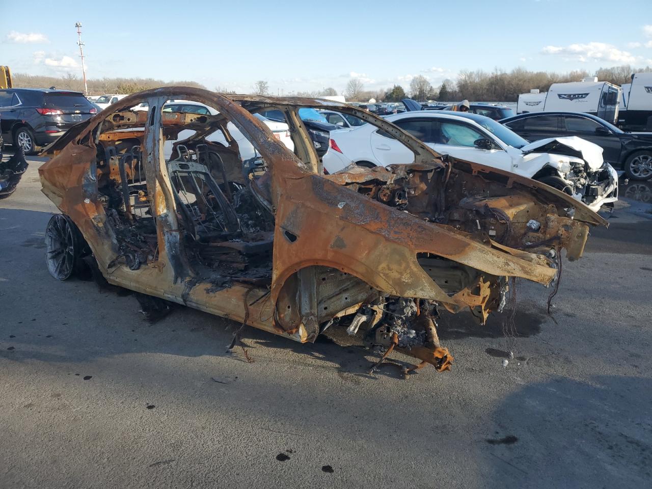 2024 TESLA MODEL Y  VIN:7SAYGDEDXRF111335