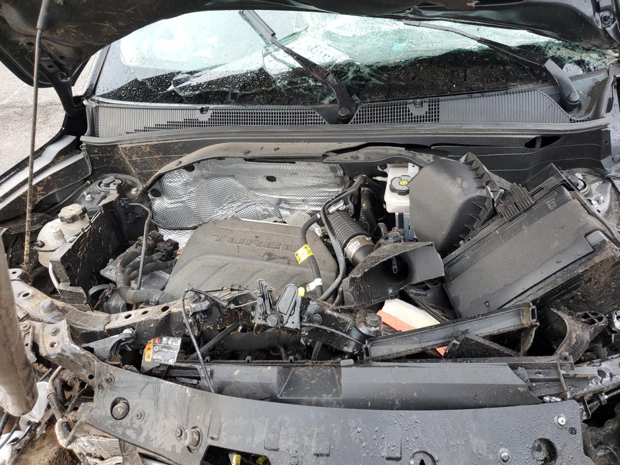 2023 CHEVROLET TRAILBLAZER LT VIN:KL79MPS20PB159549