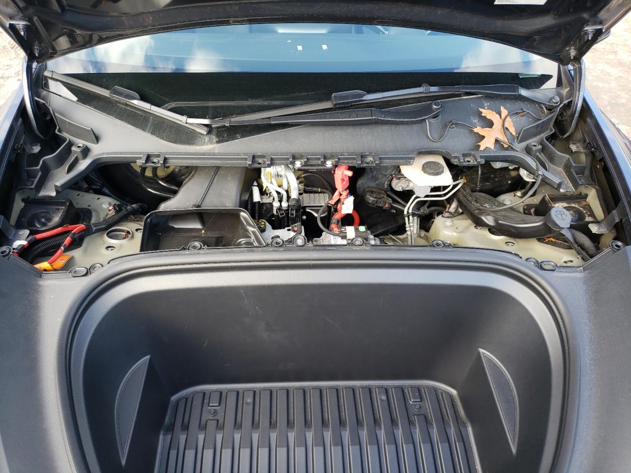 2023 TESLA MODEL Y  VIN:7SAYGDEE7PF595809
