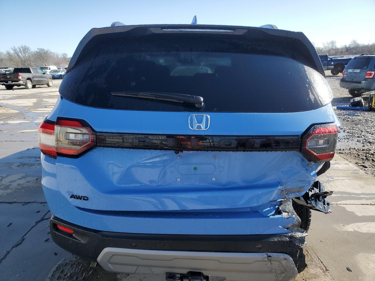 2023 HONDA PILOT TRAILSPORT VIN:5FNYG1H69PB027593