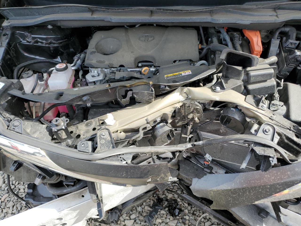 2022 TOYOTA SIENNA XLE VIN:5TDYSKFC1NS049030
