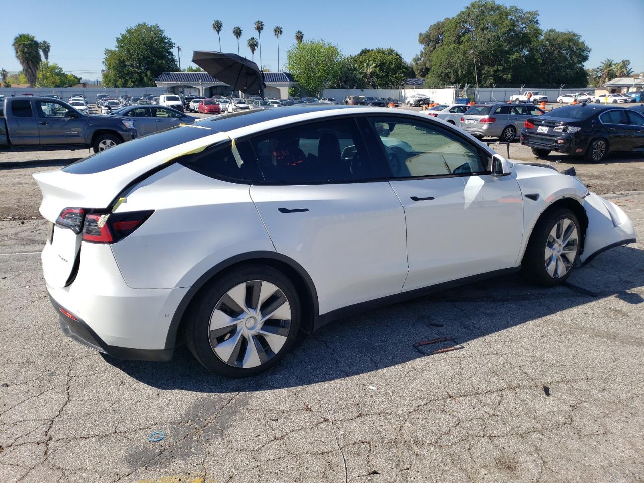 2022 TESLA MODEL Y  VIN:7SAYGDEE6NF441413