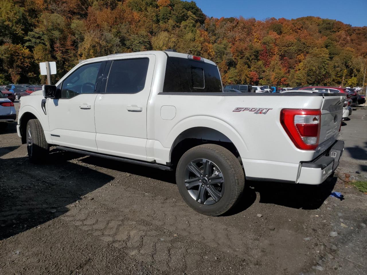 2023 FORD F150 SUPERCREW VIN:1FTFW1EDXPFD02199
