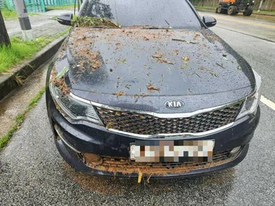 2017 Kia K5 654KMKNAGU411BHA1 VIN:654KMKNAGU411BHA1