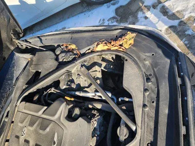 2018 Genesis G80 VIN: