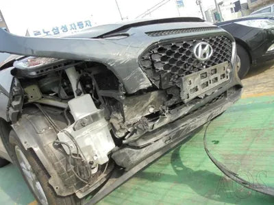 2019 Hyundai Kona KMHK4815GKU305224 VIN:KMHK4815GKU305224