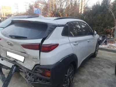 2020 Hyundai Kona KMHK381EGLU036344 VIN:KMHK381EGLU036344