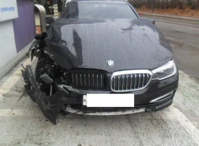 2019 BMW 530 WBAJD9106KWW50315 VIN:WBAJD9106KWW50315