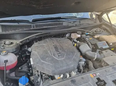 2021 Hyundai Santa FE KMHS281HGMU323845 VIN:KMHS281HGMU323845