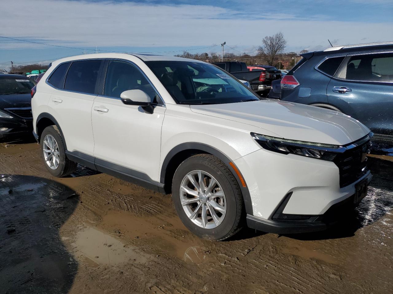 2024 HONDA CR-V EXL VIN:2HKRS4H79RH422505