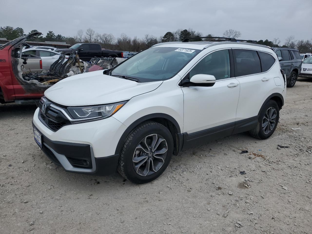 2022 HONDA CR-V EXL VIN:5J6RW1H84NA011701
