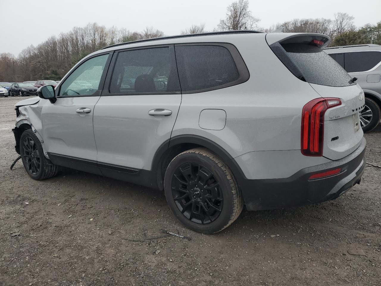 2022 KIA TELLURIDE SX VIN:5XYP5DHC8NG249623