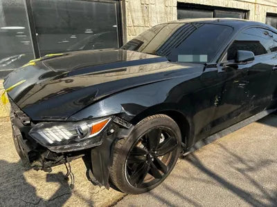 2017 Ford Mustang 1FA6P8TH9H5338409 VIN:1FA6P8TH9H5338409