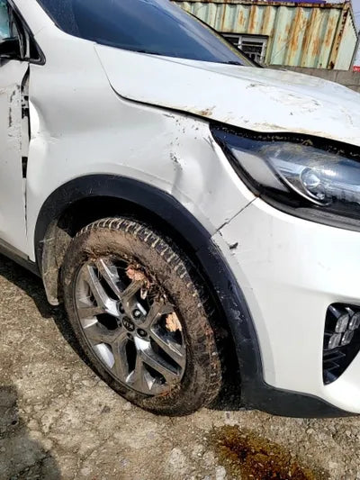 2020 Kia Sorento KNAPH811BLA645981 VIN:KNAPH811BLA645981