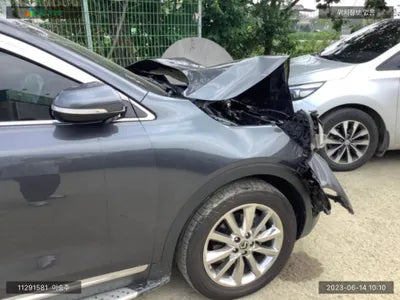 2016 Kia Sorento KNAPH81ADGA266352 VIN:KNAPH81ADGA266352