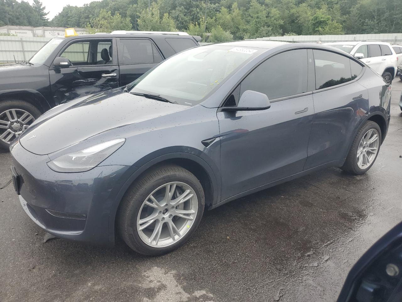 2023 TESLA MODEL Y  VIN:7SAYGDEEXPA202902